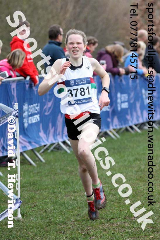 Girls under-15s Inter Counties Cross Country, Prestwold Hall, Loughborough. Photo: David T. Hewitson/Sports for All Pics